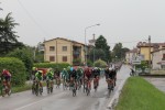 25_Siro_20150522